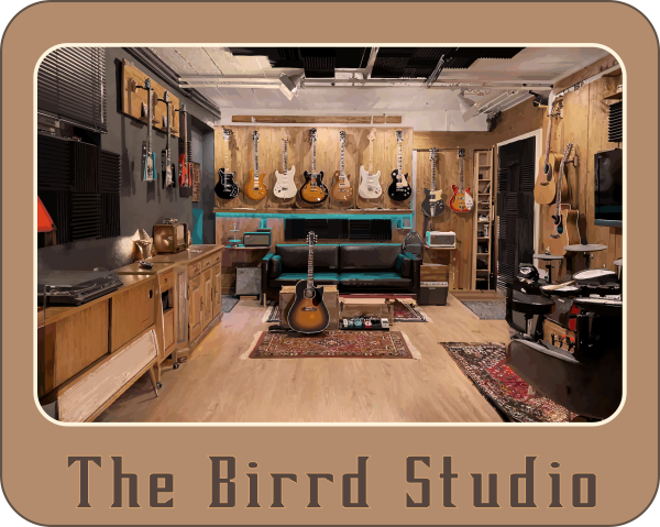 Gitarrenladen Birrd Guitars
